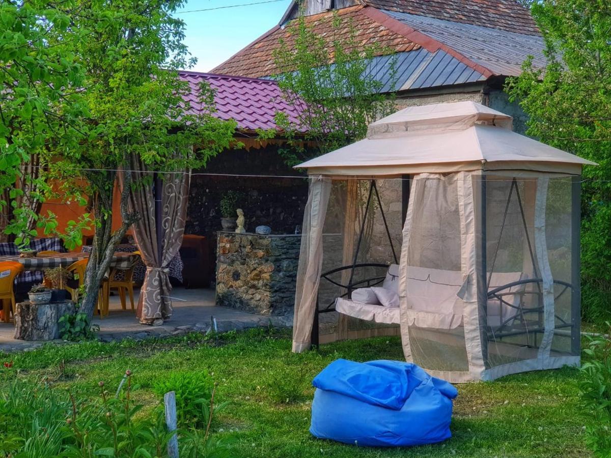 Family Hotel Maia - Cемейная гостиница Майя Dashbashi Екстериор снимка