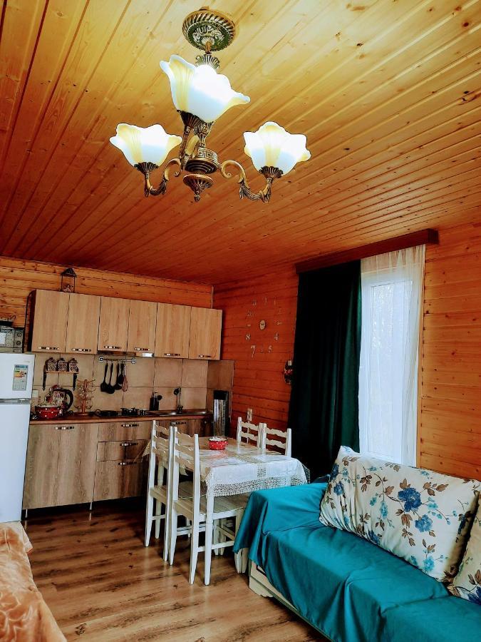 Family Hotel Maia - Cемейная гостиница Майя Dashbashi Екстериор снимка