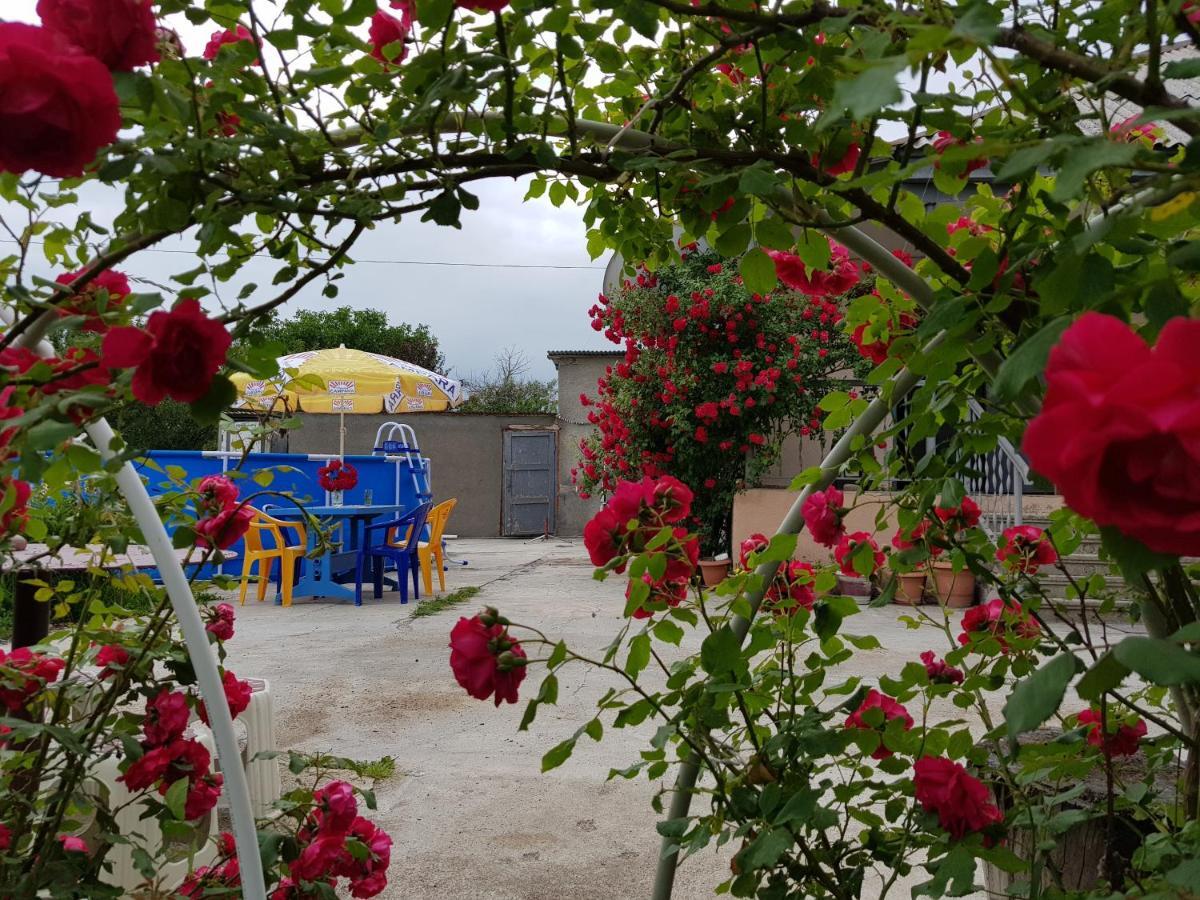 Family Hotel Maia - Cемейная гостиница Майя Dashbashi Екстериор снимка